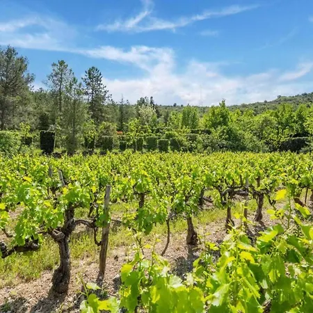 Peaceful In Ardeche With Pool Holiday home *